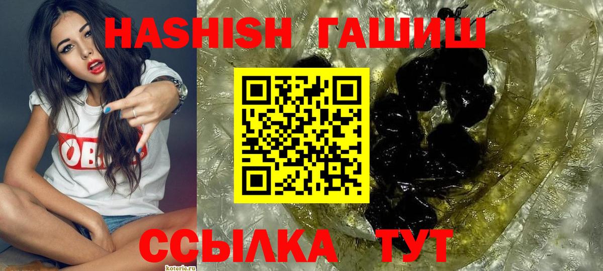 ГАШ Premium Елизово