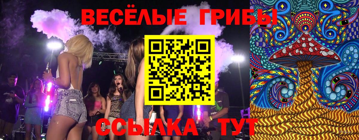 Елизово  Псилоцибиновые грибы Psilocybine cubensis  Вход с VPN 